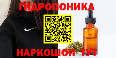 тгк Кингисепп