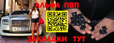 тгк Кингисепп