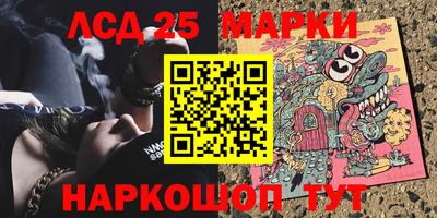 тгк Кингисепп