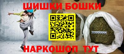 тгк Кингисепп