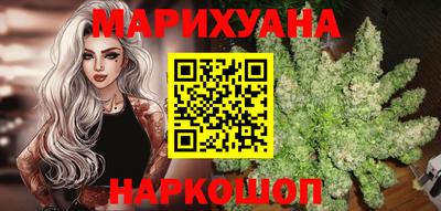 тгк Кингисепп