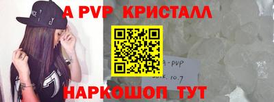 тгк Кингисепп