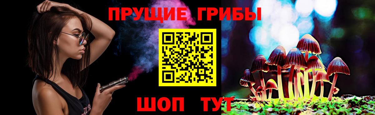 Гусев  Галлюциногенные грибы GOLDEN TEACHER  Вход с VPN 